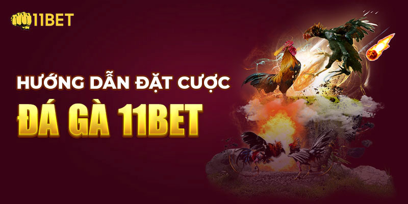 Các kiểu đặt cược đang có tại đá gà 11bet